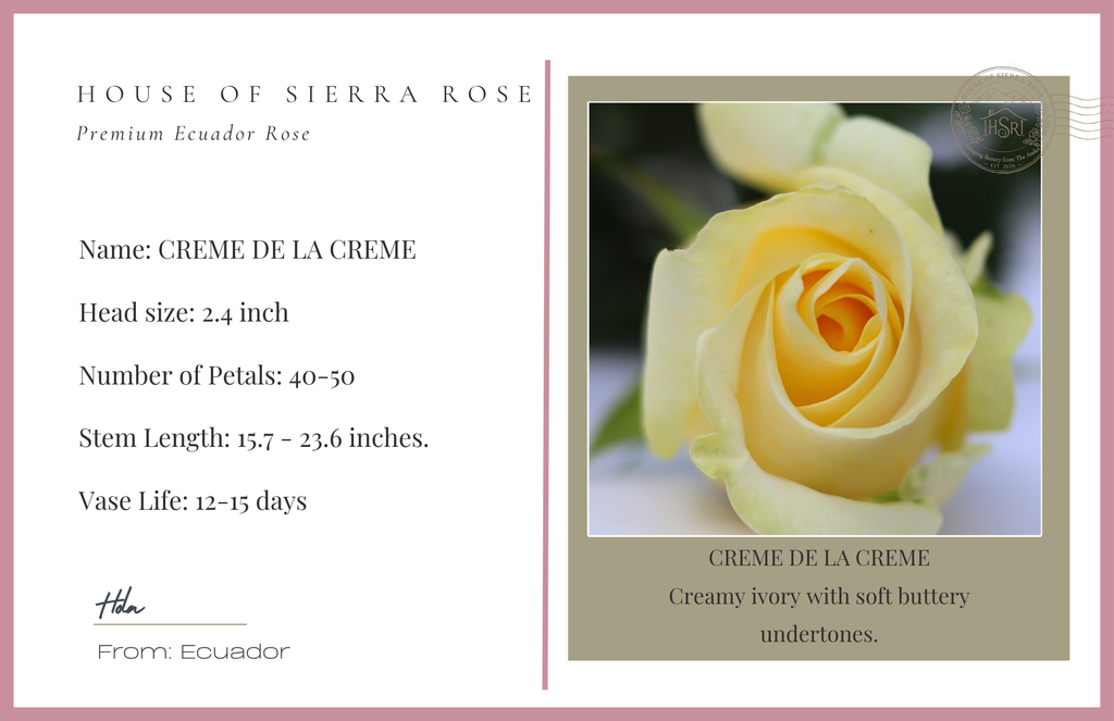 Crème de la Crème